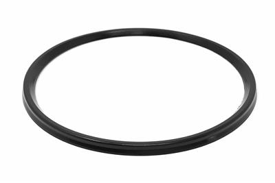 Seal ring RA DN100 EJF-80